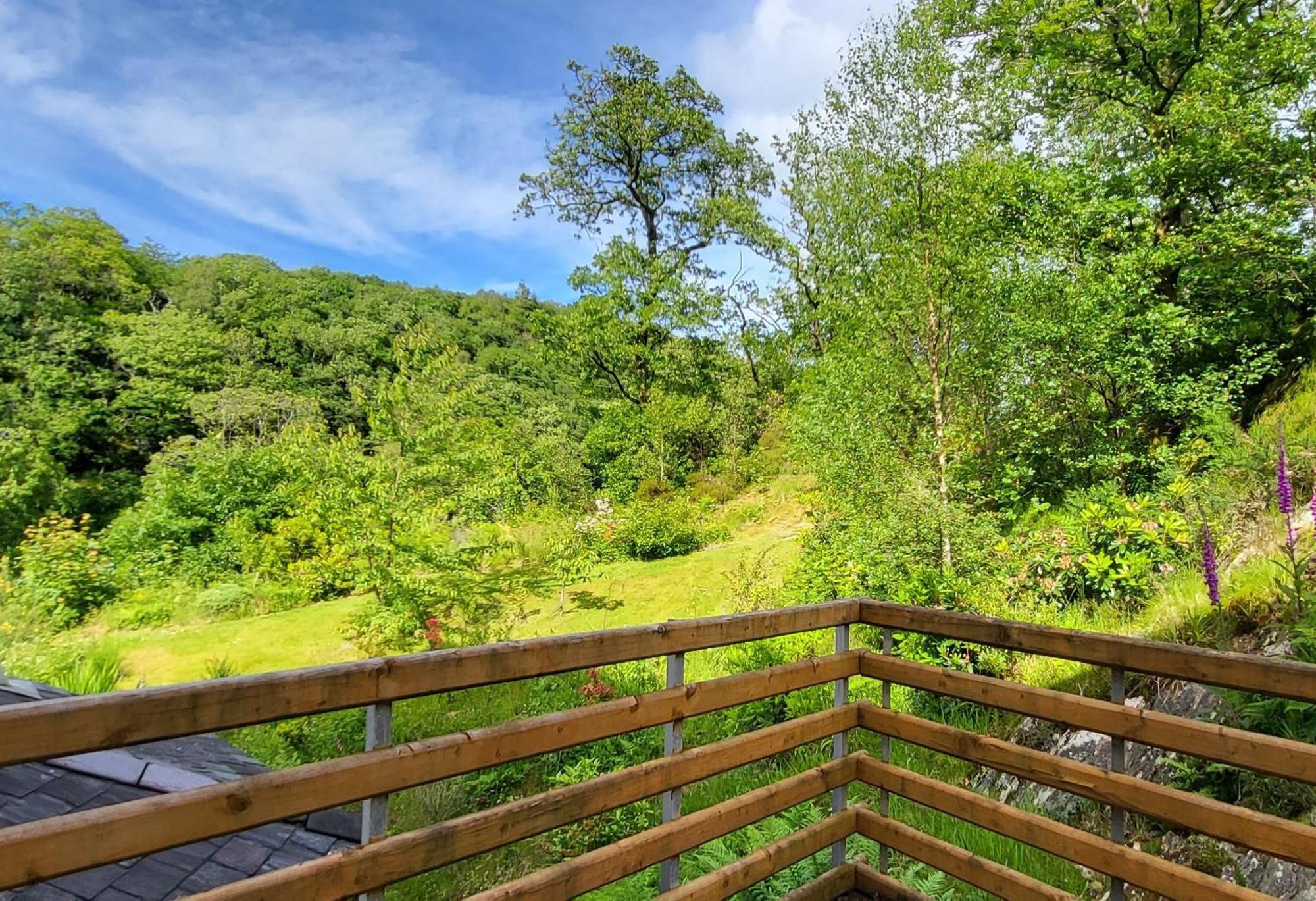 Plas Penaeldroch Manor Dolwyddelan エクステリア 写真